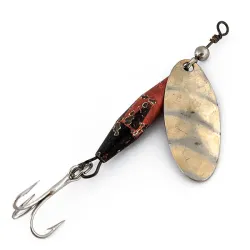 ​Glen Evans Shyster 