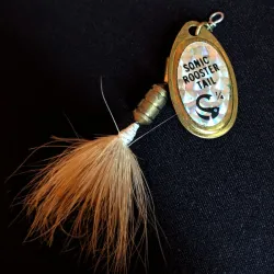 ​Sonic Rooster Tail