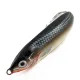 Rapala Minnow Spoon